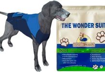 SurgiSnuggly E Collar Alternative Review: A Comfortable Surgical Suit for Your Dog’s Recovery
