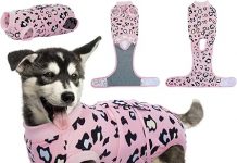 Kuoser Dog Recovery Suit Review: Is It the Best Alternative to the Cone of Shame?