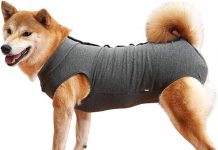 Dog Recovery Suit Review: Is This the Best Alternative to Cones for Post-Surgery Care?