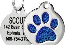 GoTags Paw Print Pet Tag Review: Stylish, Durable, and Fully Customizable for Your Pet