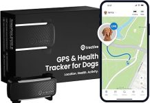Tractive GPS Dog Tracker Review: Is It Worth the Investment for Your Pet’s Safety?
