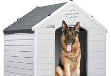LEMBERI Dog House Review: Is This Waterproof Shelter Worth the Investment?