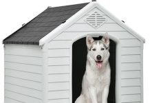 DWVO Large Outdoor Dog House Review: Is This Insulated Shelter Worth It for Your Pup?