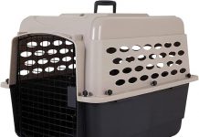 Petmate Vari Dog Kennel Review: Durable, Airline-Friendly & Perfect for Travel with Pets