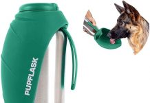 PupFlask Dog Water Bottle Review: Is It the Perfect Travel Companion for Your Pup?