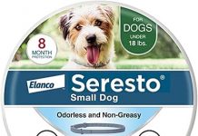 Seresto Small Dog Flea & Tick Collar Review: Is 8-Month Protection Worth It?