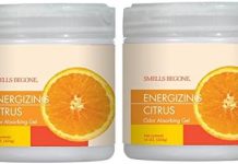 SMELLS BEGONE Air Freshener Review: Does it Really Eliminate Odors in Pet Areas & More?