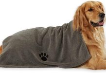 Bone Dry Pet Grooming Towel Review: Is This Absorbent Microfiber Towel Worth It?