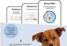 Wisdom Health Panel Dog DNA Kit Review: Accurate Breed ID, Health Insights, & Ancestry