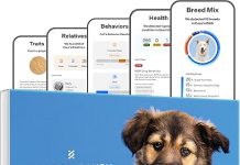 Wisdom Panel Essential Dog DNA Kit Review: Is It Worth the Price for Accurate Results?