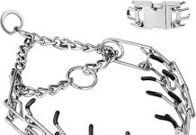 Prong Pinch Collar Review: Is It Worth the Hype for Effective Dog Training?