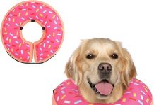 Supet Inflatable Dog Cone Collar Review: Is This Soft Recovery Collar Worth It?