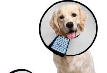 Supet Dog Cone Collar Review: Is It the Best Fit for Your Pet’s Recovery?