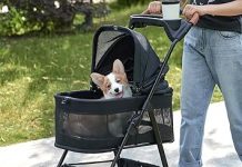 Zoosky 3-in-1 Folding Pet Stroller Review: Worth the Investment for Small/Medium Pets?