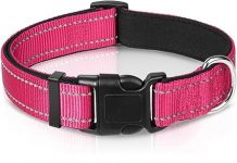 Joytale Reflective Dog Collar Review: Is It the Best Fit for Your Large Dog’s Comfort?