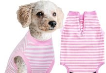 Wabdhally Dog Surgery Recovery Suit Review: Is This Pink Onesie Worth the Investment?