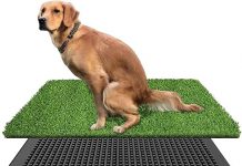 LOMANTOWN Dog Potty Tray Review: Is This 3-Layer System Worth the Hype for Puppy Training?