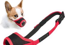 LUCKYPAW Dog Muzzle Review: Comfort, Control & Durability for All Dog Sizes