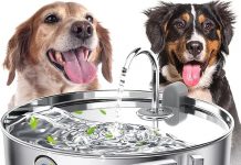 Dog Water Fountain Review: Is the 7L Stainless Steel Dispenser Worth the Investment?