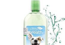 TropiClean Fresh Breath Water Additive Review: Effective Breath Freshener for Dogs?