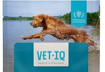 VetIQ Glucosamine Joint Supplement Review: Is It Worth It for Your Dog’s Health?