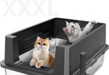 Stainless Steel Cat Litter Box Review: Is It Worth the Investment for Big Cats?