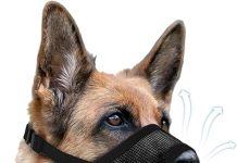 Dog Muzzle Review: Is the Soft Air Mesh Muzzle Worth It for Your Dog’s Comfort?
