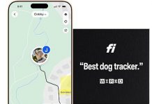 Fi Series 3 Smart Dog Collar Review: Is It Worth the Investment for Your Pet’s Safety?