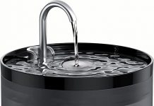 Cat Water Fountain Review: Is This Quiet, Easy-Clean Dispenser Worth the Investment?