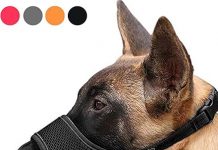 HEELE Dog Muzzle Review: Is It Comfortable & Effective for Barking & Chewing Control?