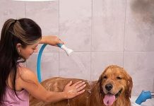 Rinseroo Slip-On Bathtub Sprayer Review: Is It the Fast, Easy Solution for Pet Baths?