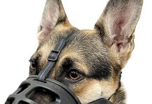 BARKLESS Dog Muzzle Review: Is It the Best Choice for Training & Safety?