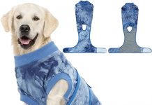 FUAMEY Recovery Suit Review: A Comfortable Alternative to the Cone for Dog Surgery Recovery