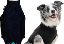 Suitical Recovery Suit for Dogs Review: Is It Worth the Investment for Post-Surgery Care?
