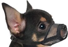 Mayerzon Dog Muzzle Review: Comfortable, Breathable, and Practical for All Dog Sizes