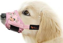 HEELE Dog Muzzle Review: Comfortable, Breathable, and Effective for Biting & Barking