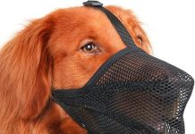 Mayerzon Dog Muzzle Review: Is This Soft Mesh Muzzle Worth It for Your Pup’s Comfort?