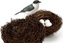Sukh 2PCS Artificial Bird Nest Review: A Worthwhile Decorative Addition or Just Hype?
