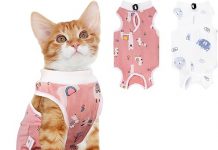 2 PCS Cat Recovery Suit Review: Is This Breathable E-Collar Alternative Worth It?
