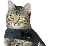 Thundershirt Classic Cat Anxiety Jacket Review: Does It Really Calm Your Cat’s Stress?