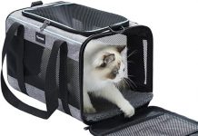 Vceoa Soft-Sided Pet Carrier Review: Is It Worth the Investment for Your Cat or Dog?