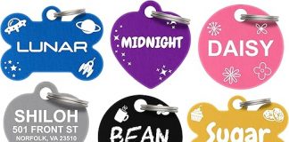 Dr. Fremont’s Custom Pet ID Tag Review: Durable, Stylish & Worth the Investment?