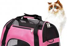 Cat Carrier Review: Is This Airline-Approved Soft-Sided Carrier Worth Your Investment?