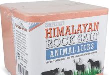 Himalayan Secrets® Pink Himalayan Salt Lick Review: Worth the Investment for Animal Health?