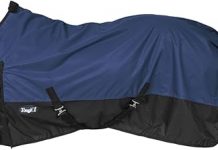 Tough 1 600 Denier Waterproof Horse Sheet Review: Is It Worth the Investment for Your Horse?