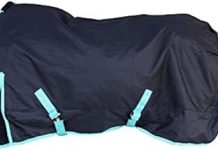 1200 Denier Horse RAIN Sheet Review: Is It Worth the Investment for All-Weather Protection?