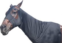 Stretch Horse Slinky Hood Review: Is It the Ultimate Mane Protection for Your Horse?