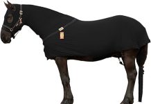 RESISTANCE Full Body Slinky Review: Is It the Right Choice for Your Horse?