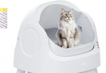 AutoScooper 11 Self-Cleaning Cat Litter Box Review: Is It Worth the Hype for Your Cats?