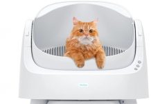 AutoScooper 11 Self-Cleaning Litter Box Review: Is It Worth the Investment for Cat Owners?